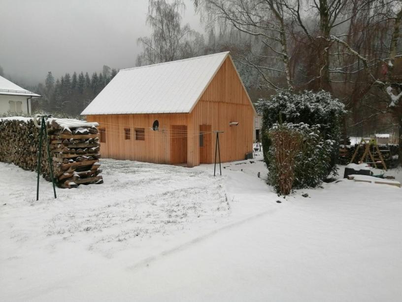 La Gambas Des Bois