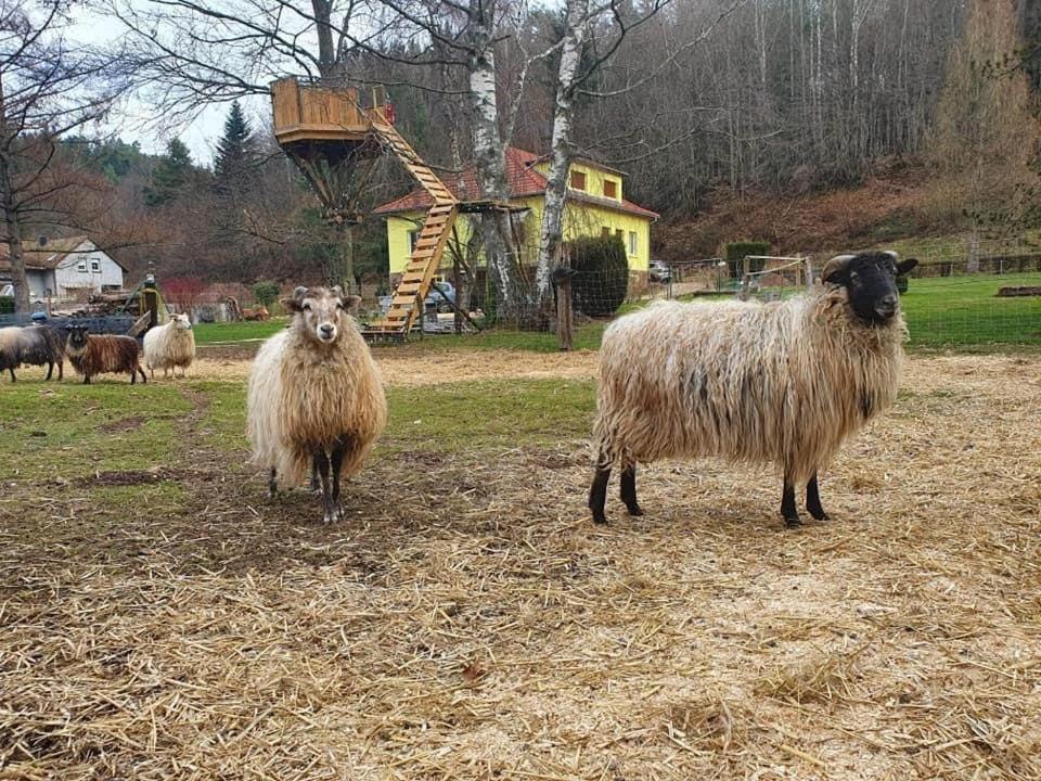 Ferienhaus La Gambas Des Bois *